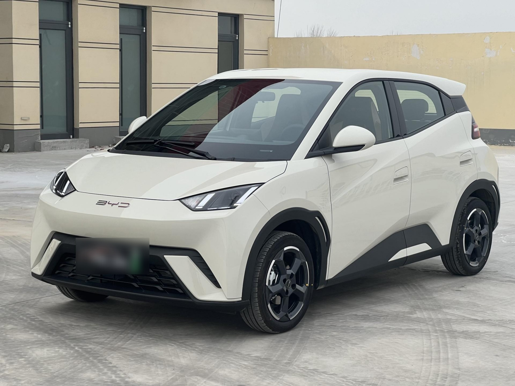 BYD DOLPHIN