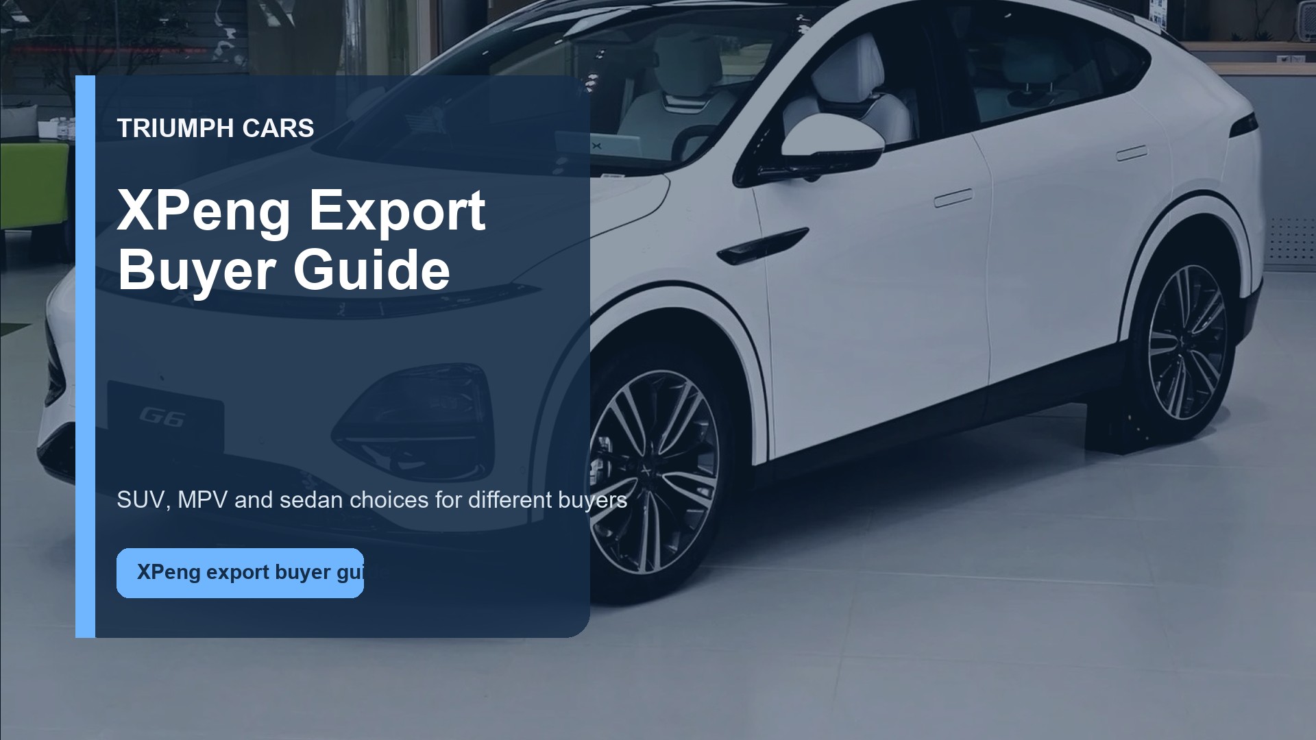 XPeng G6, X9 and Mona M03: How Export Buyers Should Choose